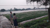 Kế hoạch An toàn thực phẩm