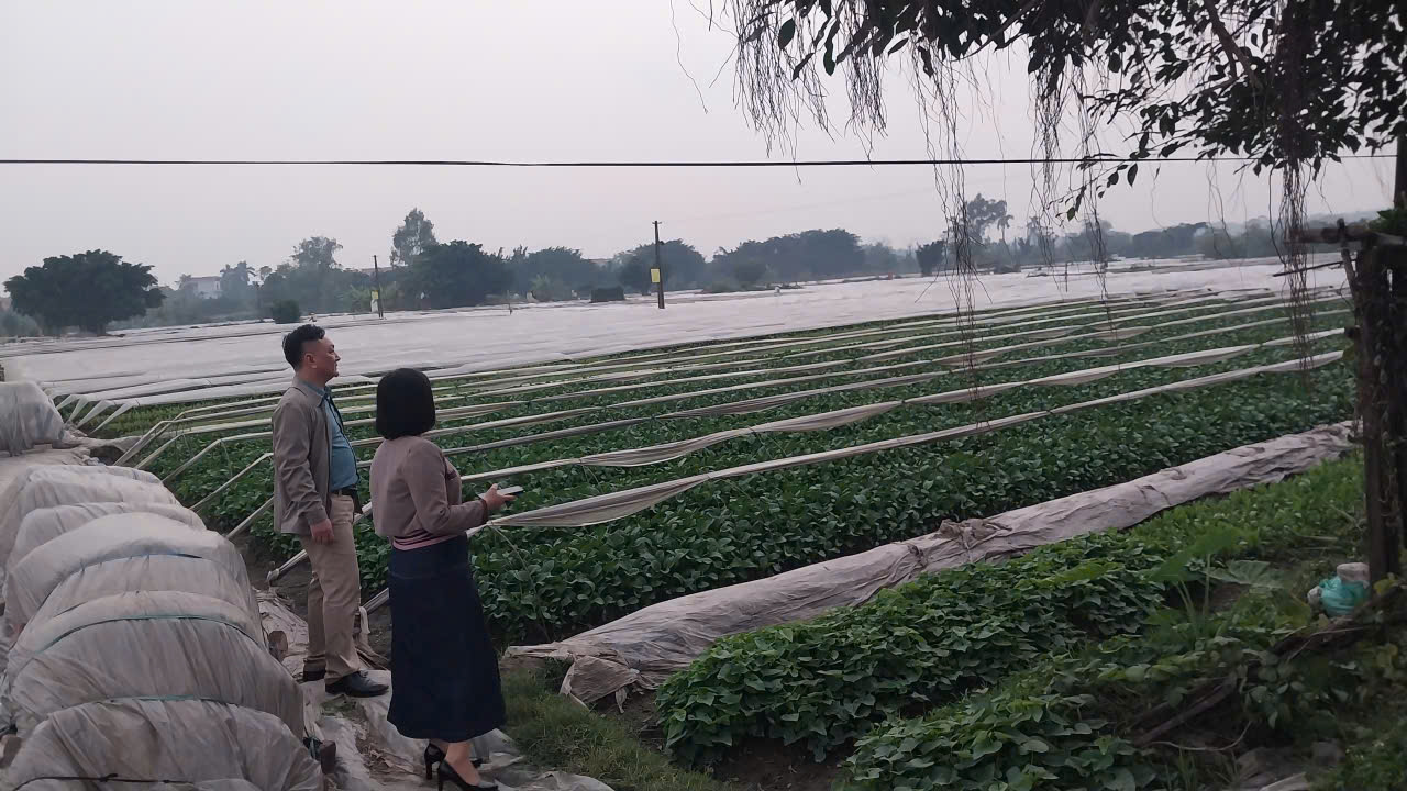 Kế hoạch An toàn thực phẩm